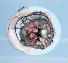 You can also choose from acid etched glass. Safety Glass Wikipedia