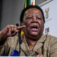 UN has failed to provide leadership in Ukrainian conflict, says Pandor