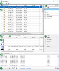 Spaltenexport