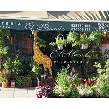 Floristeria El Almendro