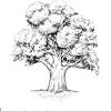 Download and print free simple tree coloring pages to keep little hands occupied at home; 1