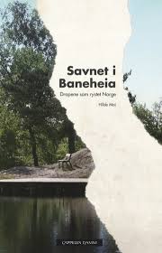 Tvnorge har det siste året, halvannet, arbeidet med en dokumentarserie om drapene i baneheia. Savnet I Baneheia Av Hilde Moi Ostbo Innbundet Samfunn Og Debatt Cappelen Damm Forlag