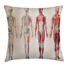 Human Anatomy Throw Pillow Cushion Cover Vintage Chart Of Body Front Back Skeleton And Muscle System Bone Mass Graphic Decorative Square Accent