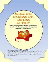 Maybe you would like to learn more about one of these? Animal Cell Color Label Function Activity Tpt