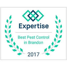 Best and affordable pest control services in tampa, specializing in integrated pest management system. Pest Control Services 1 In Tampa Fl Request A Free Quote
