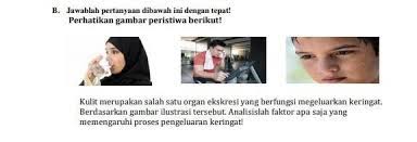 Cara menghilangkan biang keringat di wajah secara alami bisa menggunakan tumbuhan cendana. Perhatikan Gambar Peristiwa Berikut Kulit Merupakan Salah Satu Organ Ekskresi Yang Berfungsi Brainly Co Id