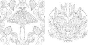 Add bright and brilliant colors to exotic blooms or a parrot's feathers. Millie Marotta S Tropical Wonderland A Colouring Book Adventure Marotta Millie Amazon De Bucher