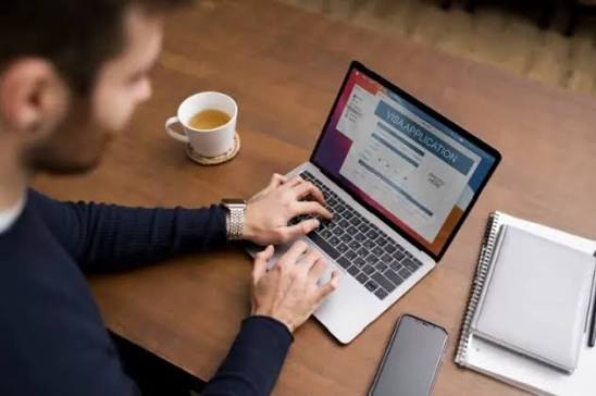 Data Entry Remote Employment | Guide to Remote Work Opportunities
