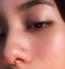 New Nose Piercing Jewelry Cute Nose Piercings Septum Piercing