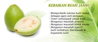 Khasiat jambu biji adalah untuk mengobati diabetes melitus, maag, diare (sakit perut), masuk buah jambu monyet yang sebenarnya biasa disebut mete (mente), yaitu buah batu yang berbentuk ginjal. Rich Healthy Financial