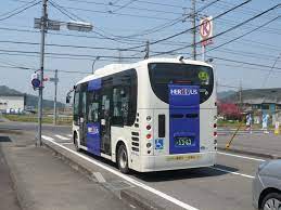 山県市自主運行バス - Wikipedia