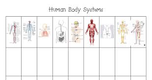 Human Body Systems Chart Pdf Im Adapting This Chart To Use