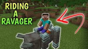 First, you need to find a pillager. How To Ride A Ravager In Minecraft Pe Youtube