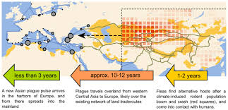 Plague Outbreaks That Ravaged Europe For Centuries Were