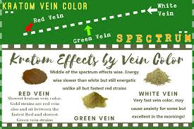 for kratom beginners pt 1 differences of kratom vein