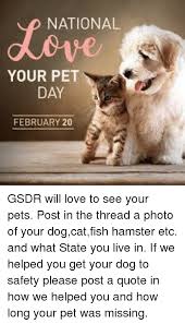 Back in the 90's all the dogs were let out, and nobody knows who did it. National Your Pet Day February 20 Gsdr Will Love To See Your Pets Post In The Thread A Photo Of Your Dogcatfish Hamster Etc And What State You Live In If We
