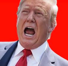 Donna Comiskey (@comiskey_d77127)