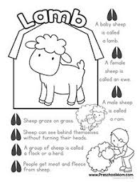 Baby Farm Animal Color Learn Baby Farm Animals Farm Preschool Farm Animals Activities