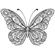 25 If You Are Looking For Butterfly Coloring Design You Ve Come To The Right Place We Have 33 Im Butterfly Coloring Page Butterfly Drawing Butterfly Mandala