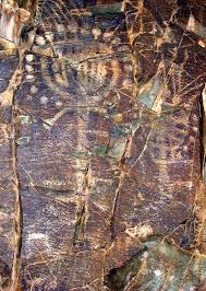 Tamgaly Gorge Unique Concentration Of Rock Carvings Kazakhstan Travel And Tourism Blog Prehistoric Art Ancient Art Cave Paintings