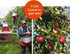 30 lynden ideas lynden bellingham whatcom county pinterest