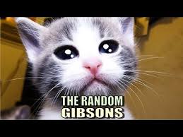 Talking Kitty Cat 48 The Random Gibsons Youtube Kitty Cat Talk Cats