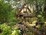 Painting Beautiful Cottage