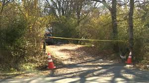 The children's mother has since been arrested. Sheriff 2 Women 3 Girls Found Dead In Arkansas Home