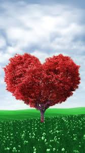Download Tree Heart Wallpaper By Dathys 50 Free On Zedge Now Browse Millions Of Popular Amour Wallpa Heart Wallpaper Tree Heart Wallpaper Amazing Flowers