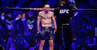 Minimalist bedroom ideas reddit streams ufc 246. Ufc Fight Island 7 Predictions Mimicnews