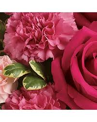 We did not find results for: Vernon Florist Flower Delivery By 27th Street Florist