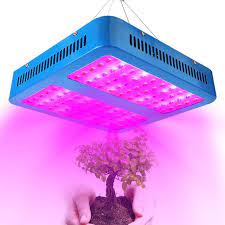 Asign made this indoor vegetable grow light that is suitable for both new and experienced vegetable grow lights could be complex systems. Best Led Grow Lights For Vegetables Best Led Grow Lights Indoor Greenhouse Led Grow Lights