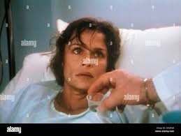 Will hutton hi-res stock photography and images