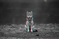 We did not find results for: Wolves Gifs Get The Best Gif On Giphy