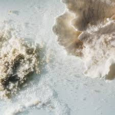 Image result for Ocean Mist 1972 Hussmann