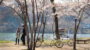 Banyak tempat di korea yang memiliki pemandangan indah dan cocok untuk dijadikan spot foto selama liburan. 10 Tempat Romantis Di Korea Selatan Untuk Habiskan Momen Valentine