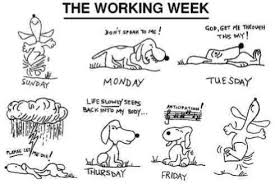Humor funny memes about work stress. Work Stress Funny Images Novocom Top
