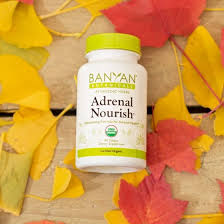 Adrenal Nourish Tablets Ayurveda Herbal Ayurvedic Recipes Ayurvedic Herbs