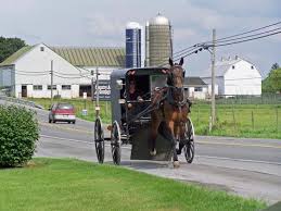 Bird In Hand Bake Shop Lancaster Pa Bird In Hand Pa Amazing To See The Amish Way Of Life Amish Country Amish Culture Amish Farm