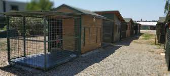 bobyland kopek oteli pet otel celebi mah ali ihsan gedik cad no 80 guzelbahce izmir turkiye yandex haritalar