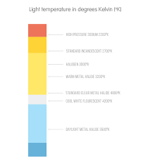 The Ultimate Beginners Guide To Energy Saving Light Bulbs