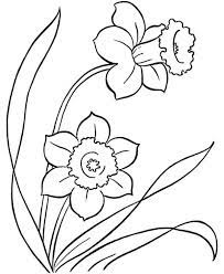 Daffodil Coloring Pages Collection Free Coloring Sheets Spring Coloring Pages Flower Coloring Pages Book Page Flowers