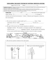 Spinal cord is the official journal of the international spinal cord society. Nervous System Worksheet