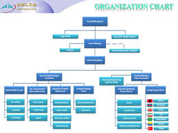 Delta Telecom O M Presentation