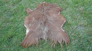 brown goat skin fur animal skin goat pelt original skin throw genuine skin hide leather carpet 3 9 x 2 8 feet fur rug long hair hide