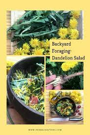 Backyard Foraging Dandelion Salad Permacrafters Dandelion Salad Home Grown Vegetables Foraging