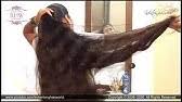 Earlier you must have seen hair water dunking in to various advertising of soap, shampoos and any other products. Indianlonghairworld