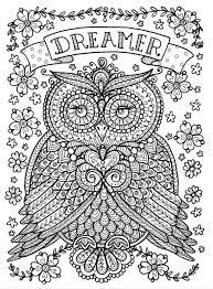 Add your own style, color, shading, and true personality. Owl Coloring Pages For Adults Free Detailed Owl Coloring Pages