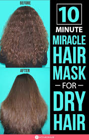 Even the lightest hair dryers feel like a million pounds when you're holding it above your head for half an hour, and round brushes? 10 Minute Miracle Hair Mask For Dry Damaged Rough And Frizzy Hair Diy Hair Mask For Dry Hair Hair Mask Hair Cure