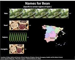 We hope this will help you to understand spanish better. What Is The Difference Between Frijoles And Habichuelas Spanish Language Stack Exchange